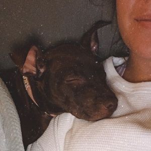 Meet your Posher, Rebecca